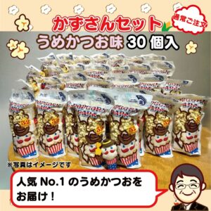 かずさんセット(うめかつお30個)